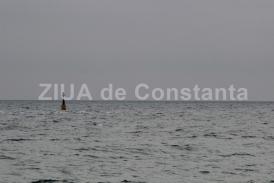 UPDATECăutările velierului dispărut aseară în Portul Constanţa s-au reluat. Velierul a fost găsit    