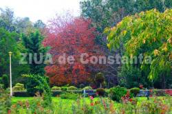 Constanţa în culorile toamnei. Natura oferă un spectacol pentru locuitori (fotoreportaj)