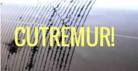 Cutremur în zona seismică Vrancea. Ce magnitudine a avut