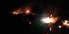 Incendiu în zona localității Murighiol. Pompierii intervin (galerie foto)