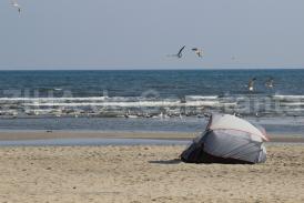Prognoza meteo pentru Dobrogea. Cum va fi vremea în următoarele două săptămâni