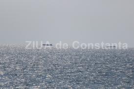 Cinci migranţi au murit şi alţi şase au fost daţi dispăruţi după ce o ambarcaţiune s-a răsturnat