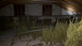 DIICOT Bărbat, reţinut pentru săvârșirea infracțiunii de trafic de droguri de risc (galerie foto)