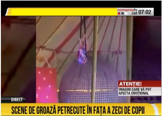 Panică Printre Spectatori Accident La Circ O Acrobată A Căzut De