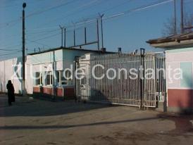 Evaziune fiscală, tâlhărie și furt calificat în județul Constanța. Bărbații, escortați și introduși în Penitenciarul Poarta Albă