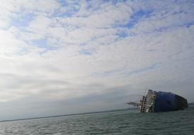 Președintele ANSVA, la acțiunea de salvare a oilor de pe nava răsturnată în portul Midia