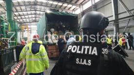 UPDATE Premieră pentru Constanța. Cantitate uriașă de droguri, distruse de Poliția Română în Lumina (galerie foto + video)     