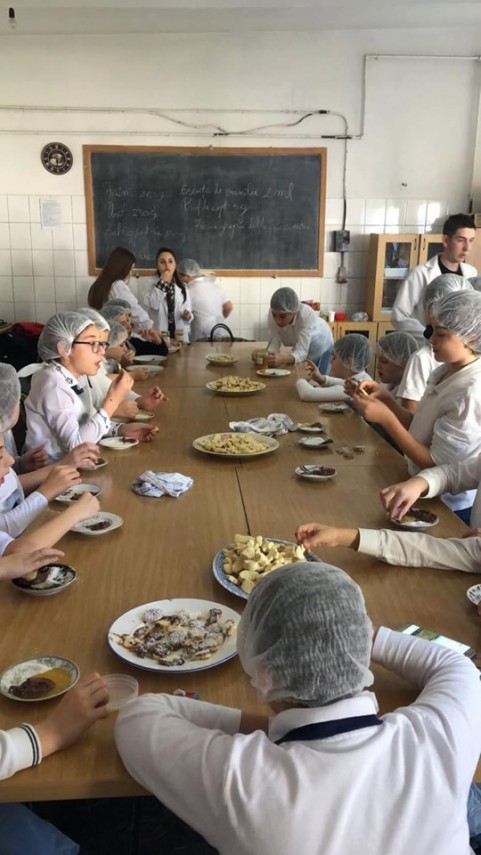 exemplu de bune practici intre liceul tehnologic gheorghe miron costin si scoala gimnaziala nr 18 jean