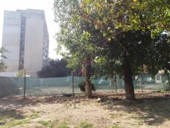 Imobilul de opt etaje ridicat de Cambela Prod pe șoseaua Mangaliei din Constanța crește pe verticală
