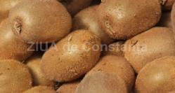 Uimitoarele beneficii ale fructului kiwi