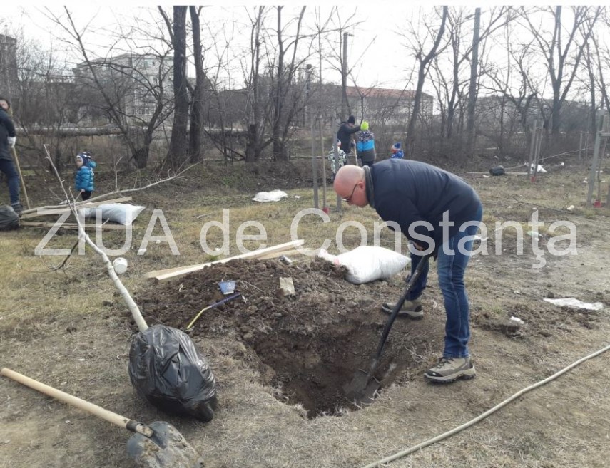 fapte nu vorbe constanta restart in actiune din nou galerie foto video 711210
