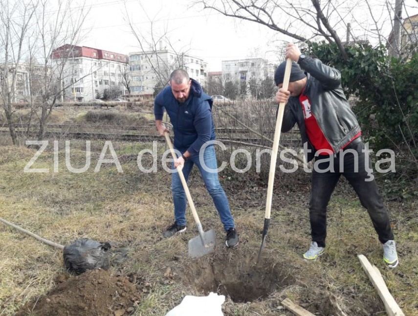 fapte nu vorbe constanta restart in actiune din nou galerie foto video 711210