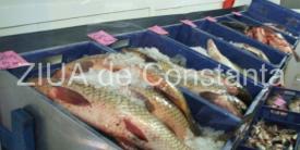Depistați în Agigea în timp ce vindeau pește fără documente legale