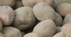  Cartoful, remediu pentru durerile de cap