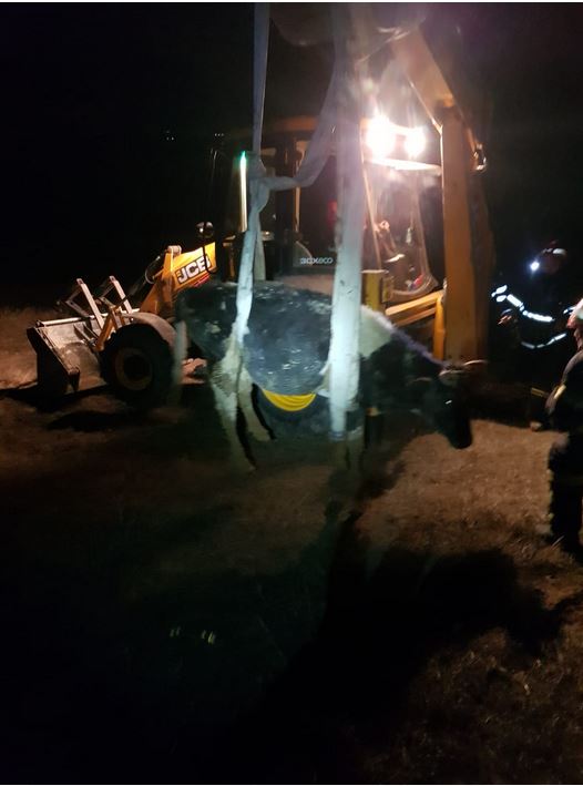 judetul tulcea operatiune de salvare a unui animal cazut intr o groapa galerie foto 713607