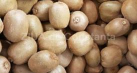 Kiwi, alimentul minune plin de nutrienți, vitamine și minerale