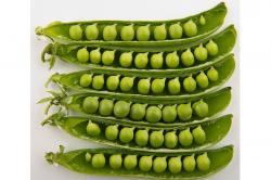 Cât de sănătoasă este mazărea