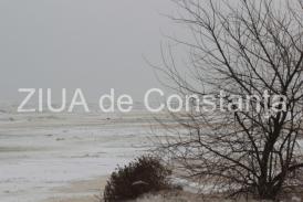 Poezia zilei Cu sens unic –Irina Lucia Mihalca