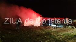 Incendiu în incinta unui adăpost de animale din Techirghiol (galerie foto+video)     