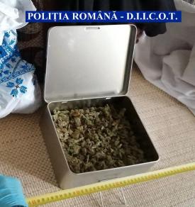 DIICOT. Destructurarea a două grupuri infracționale. Cumpărau droguri din Constanța și le vindeau în Giurgiu (galerie foto)