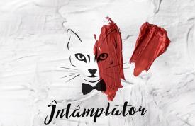 Melodia Zilei  The Motans - Întâmplător | Official Audio