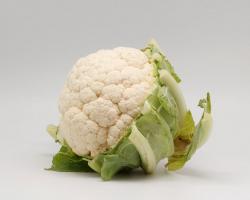 Beneficiile conopidei proaspete 