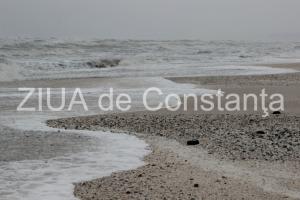 centrulnatura.ro Umbra sau forța de propulsie  