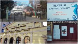 Constanța Ce spectacole puteți urmări în weekend, din confortul casei