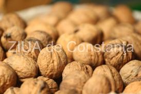 Cum poţi păstra nucile proaspete mai mult timp