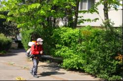 Constanța. Continuă acțiunile de dezinfecție și dezinsecție. Zonele vizate 