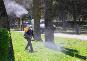 Acțiuni intensificate de dezinsecție în municipiul Constanța