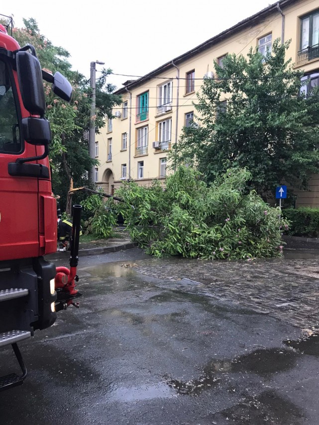 codul portocaliu a facut ravagii in tulcea galerie foto 723468