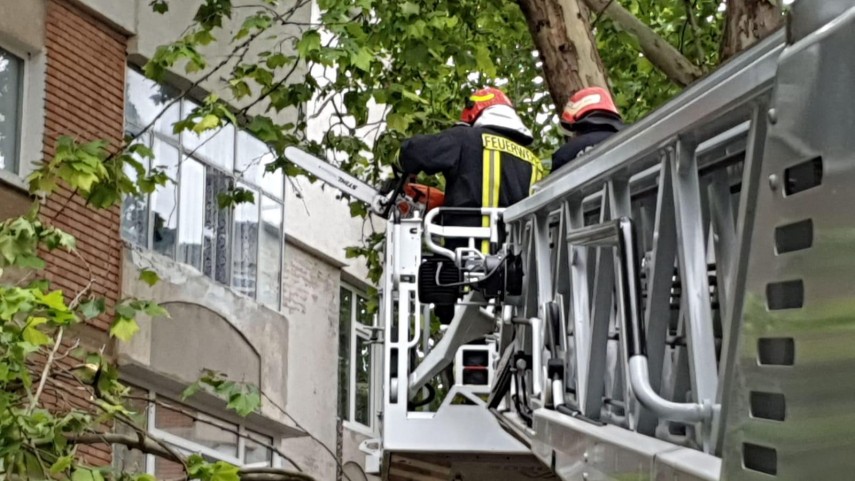 codul portocaliu a facut ravagii in tulcea galerie foto 723468