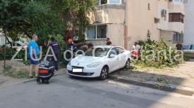 Copac căzut peste autoturism, pe strada IG Duca, din Constanța (galerie foto și video)