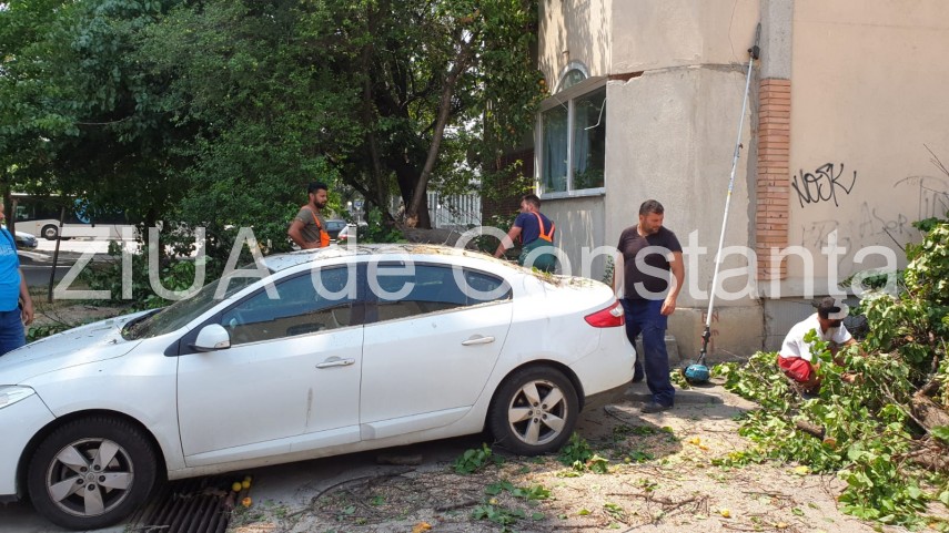 copac cazut peste autoturism pe strada ig duca din constanta 723418