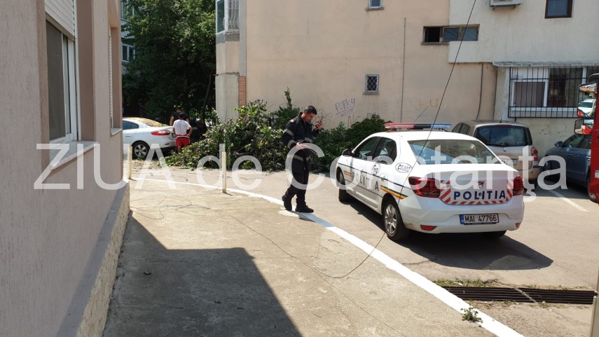 copac cazut peste autoturism pe strada ig duca din constanta 723418
