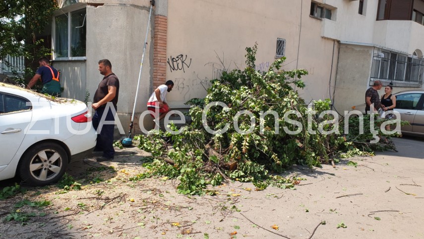 copac cazut peste autoturism pe strada ig duca din constanta 723418