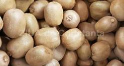 Beneficiile consumului de kiwi 