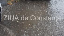  ANMCod galben de vijelii pentru județele Constanța și Tulcea. Iată zonele vizate