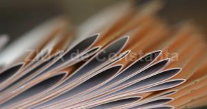 Titlurile de stat ale României în monedă locală au fost incluse în indicele Bloomberg Barclays Global Aggregate