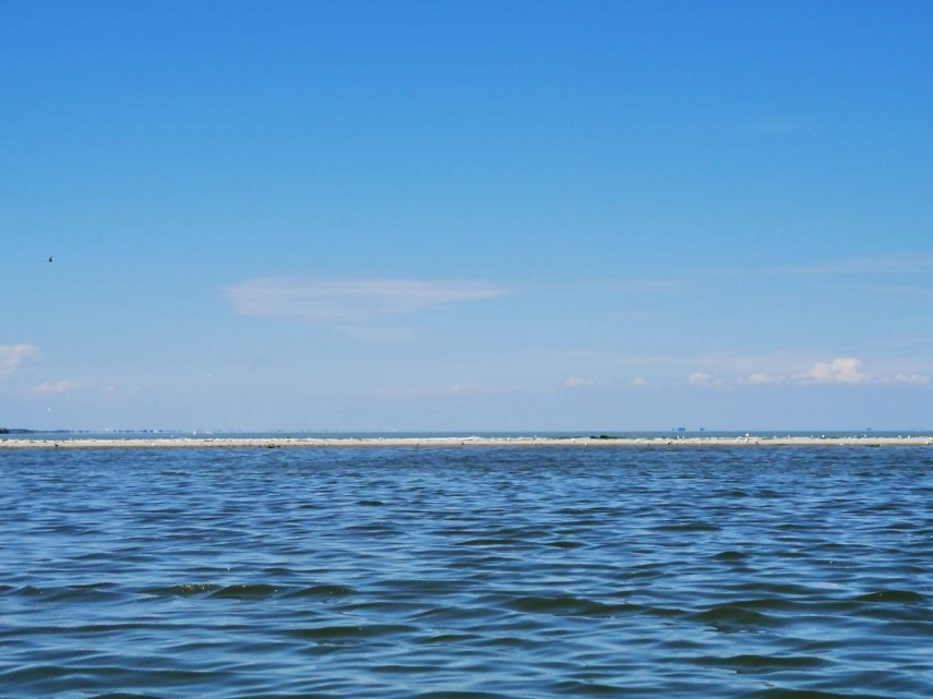 misterioasa si minunata insula k cel mai tanar taram din rezervatia biosferei delta dunarii galerie foto
