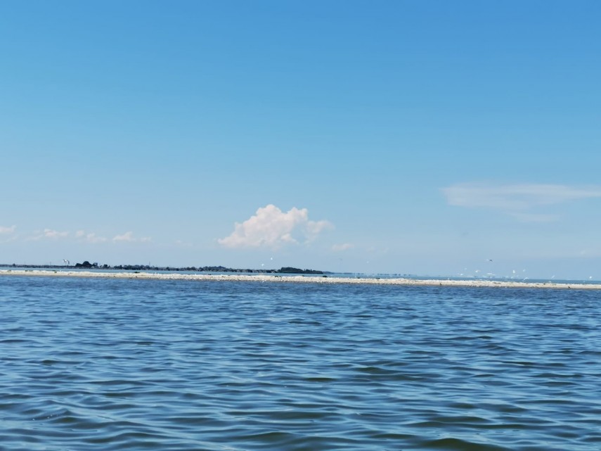 misterioasa si minunata insula k cel mai tanar taram din rezervatia biosferei delta dunarii galerie foto