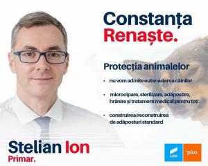 #alegerilocale2020 Stelian Ion, candidatul USR PLUS pentru primăria Constanța -  “Ca primar nu voi admite eutanasierea câinilor”