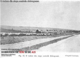 #DobrogeaDigitală – revista „Analele Dobrogei   Transhumanța, „însuși fermentul vieţii noastre naţionale şi politice”