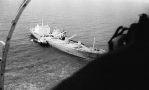 Naufragiu în reciful de corali