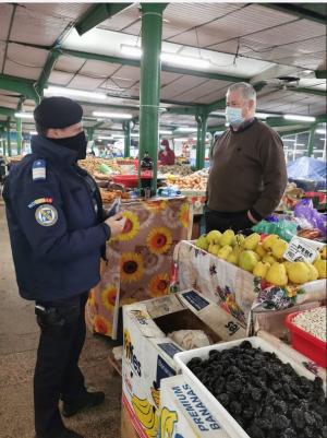 Jandamii constănțeni, prezenți în zonele aglomerate. Ce au constatat