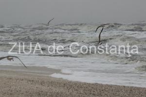 Organizația Meteorologică Mondială 2020 încheie cel mai cald deceniu de la începerea măsurătorilor  