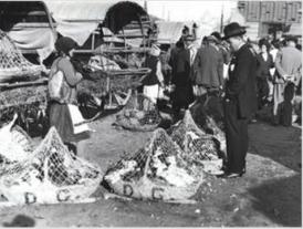 #DobrogeaDigitală Talciocul, „o bursă a mizeriei și a speculei”