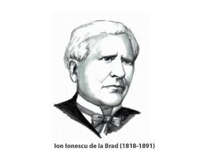 DobrogeaDigitală Dobrogea, California Europei