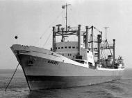 Potențialul navalisticii autohtone